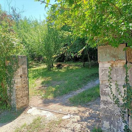 La Colline Aux Oiseaux, La Tranquillite Des Bois Villa Molieres-sur-Ceze Bagian luar foto