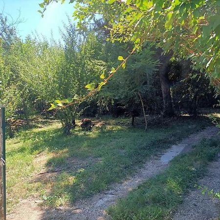 La Colline Aux Oiseaux, La Tranquillite Des Bois Villa Molieres-sur-Ceze Bagian luar foto