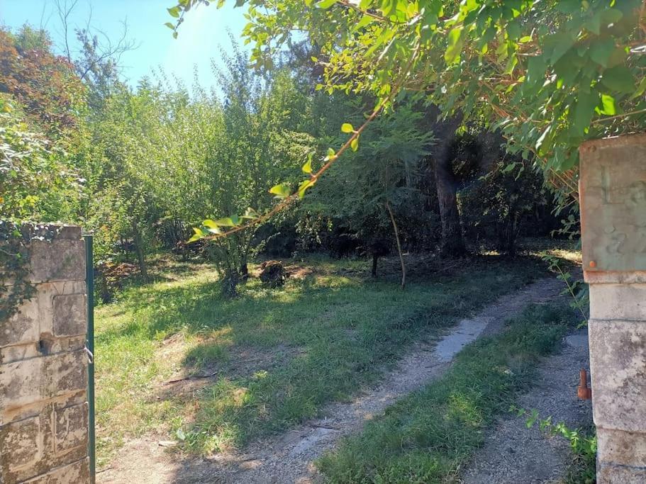La Colline Aux Oiseaux, La Tranquillite Des Bois Villa Molieres-sur-Ceze Bagian luar foto