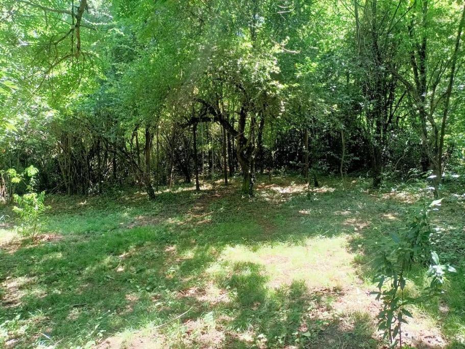 La Colline Aux Oiseaux, La Tranquillite Des Bois Villa Molieres-sur-Ceze Bagian luar foto